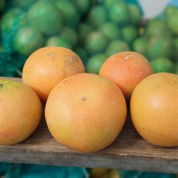 Fruteria la huerta
