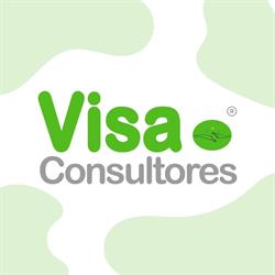 VISA LASER CONSULTORES