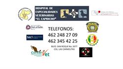 Hospital de Especialidades Veterinarias El Capricho