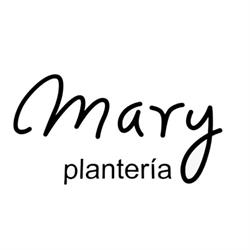 Plantería Mary