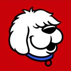 Doggies Hospital Veterinario