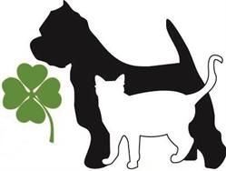 San Patricio Médicos Veterinarios Especialistas