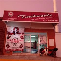 Instituto Mexicano De Taekwondo Colima Club Halcones