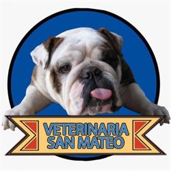 veterinaria san mateo