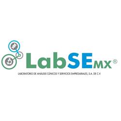 LabSe