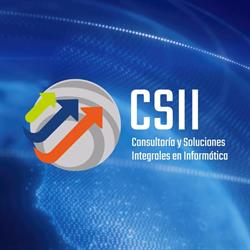 CSII Consultoria y Soluciones Integrales en Informatica