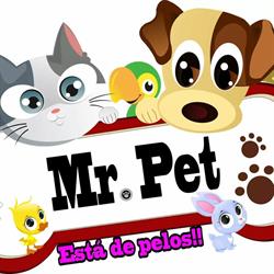 Mr. Pet