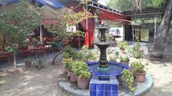 Buffet Jardín