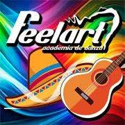 Feelart Academia de Danza