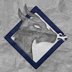 Wyvern Ingeniería y Construcción
