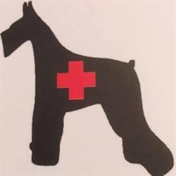Clínica Veterinaria Dr. Loera