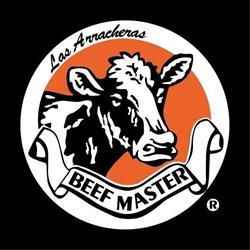 Las Arracheras Beef Master