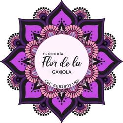 Floreria Flor de Lu