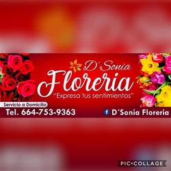 D Sonia Floreria