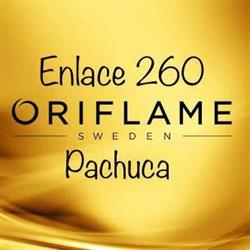 Enlace 260 Pachuca