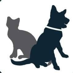 Veterinaria Mejores Amigos