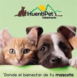 Huentipets Veterinaria