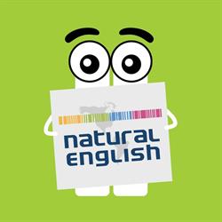 Natural English Ciudad de México