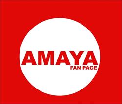 Amaya Refacciones