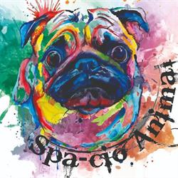 spa-cio animal