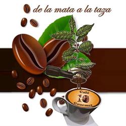 Café 10 Gourmet - Tlalcoligia