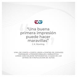Evolucion Grafica