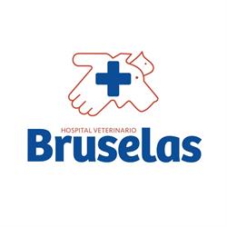 Hospital Veterinario Bruselas
