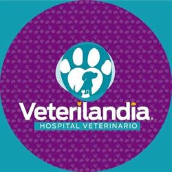 Veterilandia Hospital Veterinario