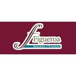 Seguros Y Fianzas Figueroa