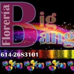 Floreria big bang