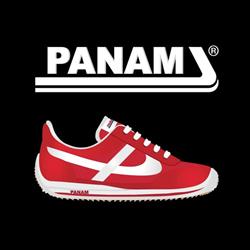 Panam Pachuca