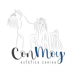 Dog Show Grooming