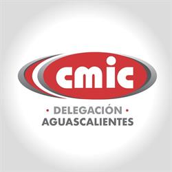 CMIC AGS