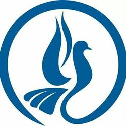 Vision Cristiana Celaya