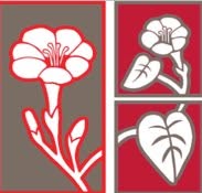 Posada de las Flores