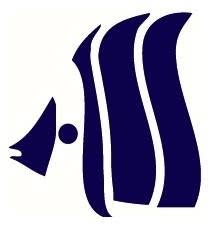 Fish & Animals