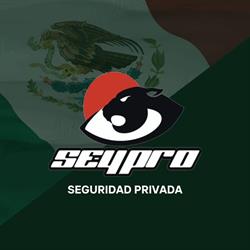 Seypro Seguridad Privada.