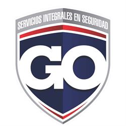 GO Seguridad