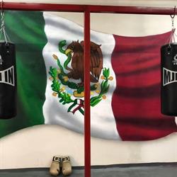Espartanos Boxeo & Fitness