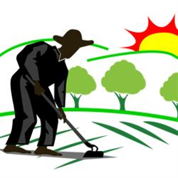 El Campesino - Asesoría Agraria