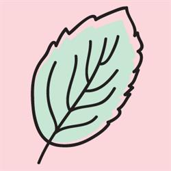 MINT Nail Bar