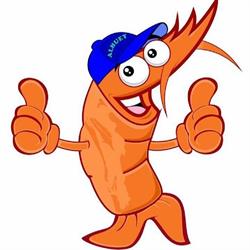 DON TACO FISH