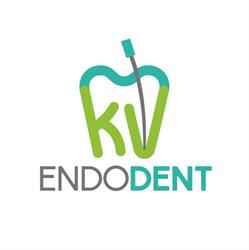 EndoDent Dra Karyna Valdez Endodoncia