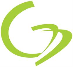 Gm Consulting Group