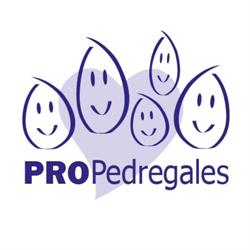 Pro Pedregales Arquitectura