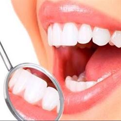 Bio Dental