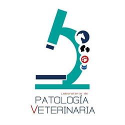 Laboratorio de Patología Veterinaria