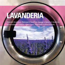 Lavanderias de la rosa