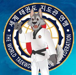 Ji Do Kwan Taekwondo de México San Luis Potosi