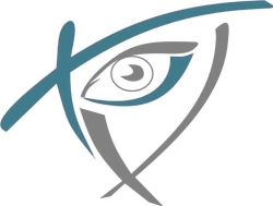 OPTICA VISSIONE